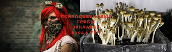 герыч Белокуриха
