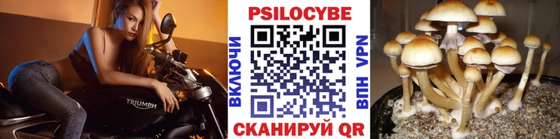 гидра вход  Кропоткин  Галлюциногенные грибы MAGIC MUSHROOMS 